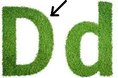 Illustration capital letter - Image 2